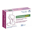 candismic-30-cap.webp