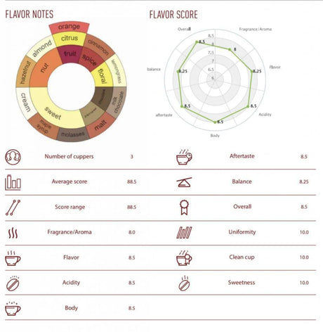 Pure Coffee Light Roast Ground 250g - Noordcode