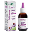 equinacea-extrato-s-alcool-50-ml.webp