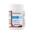 ergyglucil-04