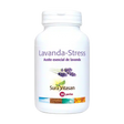 lavanda-stress.webp