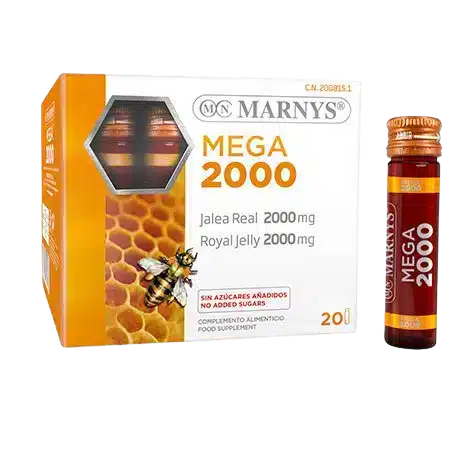 mega-2000.webp