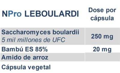 npro-leboulardi-tabela-e1710440209182