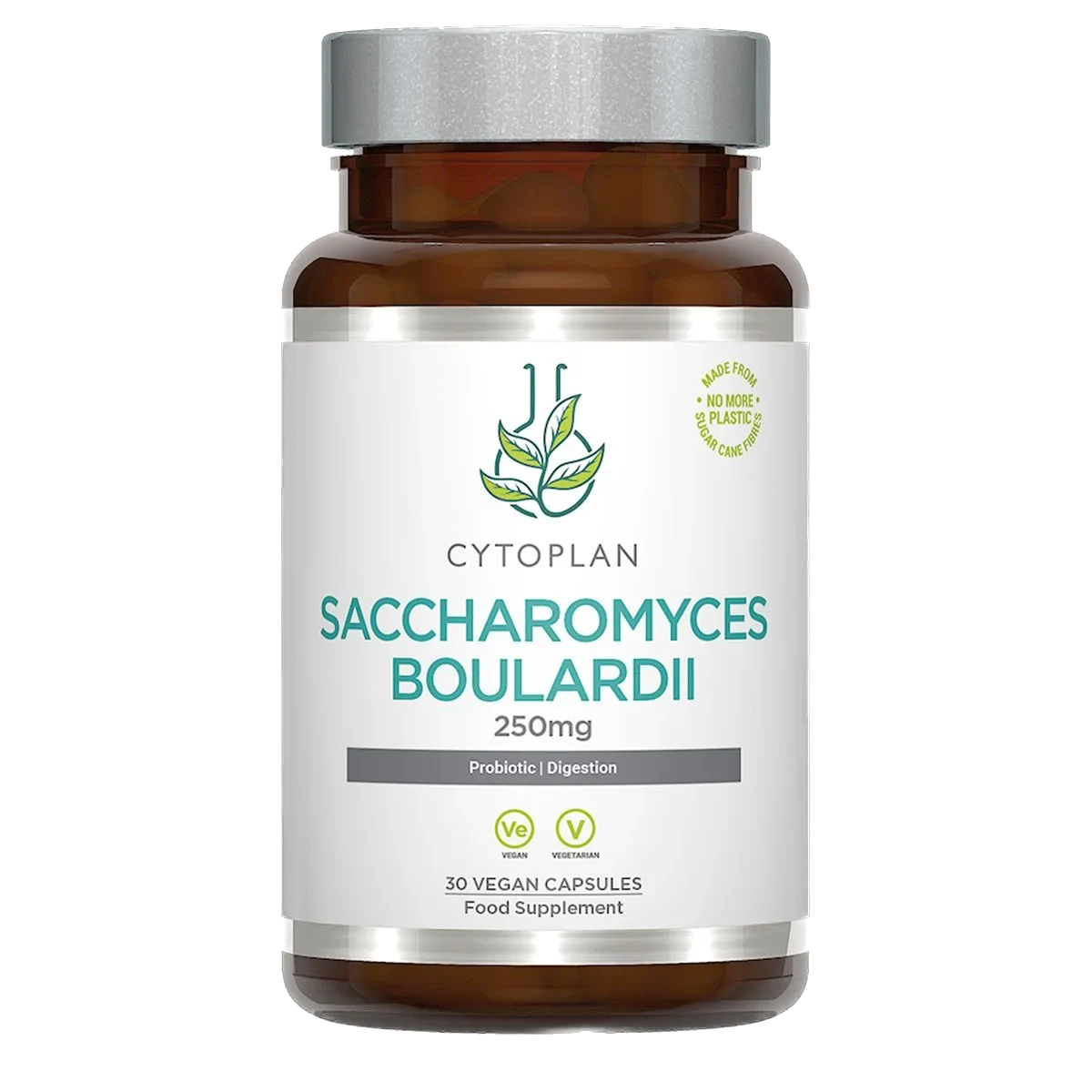 saccharomyces-boulardii.webp